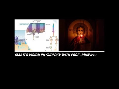 Why Light HYPERPOLARIZES Photoreceptors | VISION MEDICAL PHYSIOLOGY