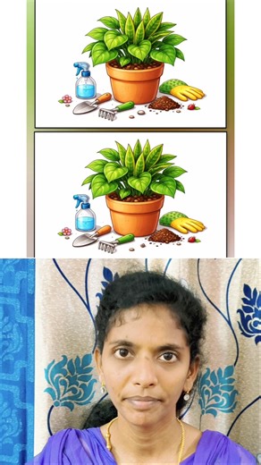 🤔3 Different முடிஞ்சா கண்டுபிடிங்க பாப்போம்❓👇#shorts #trending #sriragames #entertainment #reels