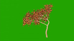 Download Trees on a green background. Seamless looping 4k time-lapse animation background for free