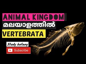 SUB PHYLUM VERTEBRATA CHAPTER-4 ANIMAL KINGDOM PLUS ONE BIOLOGY MALAYALATHIL PART-15 STUDY BOTANY SB