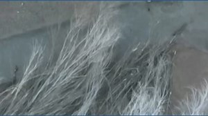 Man gets stuck in quicksand at Utah's Arches National Park