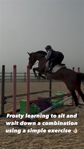 Frosty learning to condense her huge canter. Focusing on a short 3 stride exercise 🙏 #horses