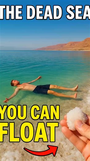 Why You Can Float Easily in the Dead Sea 😳🌊 | Explained