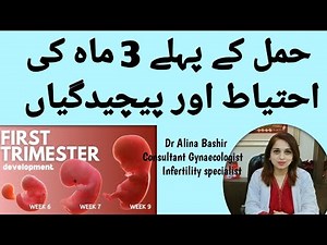 1st trimester of pregnancy | حمل کے پہلے 3 ماہ | Dr Alina Bashir