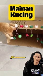 Ide Kreatif Membuat Mainan Kucing Dari Barang Sederhana #idekreatif #tipsdantrik #tipsbermanfaat | Fahmi Ideas