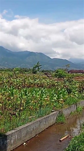 keindahan gunung merapi Magelang 🤩
