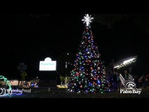 City of Palm Bay Tree Lighting Ceremony 2024