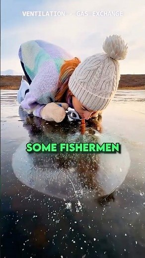 Why This Man Pumps Air Into Ice 😱 | Saving Fish in Winter #Nature #DidYouKnow #Winter #Fish