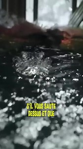 15K views · 297 reactions | Attaque de Crocodile : comment Y SURVIVRE ? | Poisson Fécond | Facebook