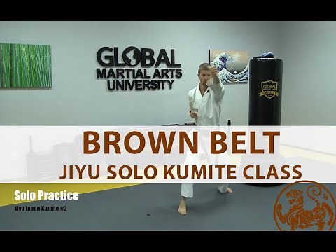 Shotokan - 1st Kyu Brown Belt - Solo Kumite Practice