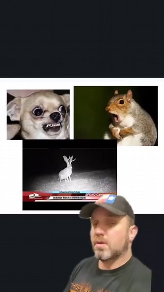 Snipe Hunting and the Myths Behind It