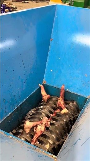 Crushing Beef Bones in Seconds - Watch This
