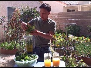 How to Make a Green Smoothie using Fresh Picked Spinach