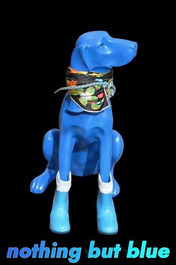 Blue Dog - nothing but blue