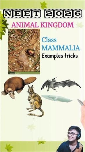 The Ultimate Mammalia Examples Trick | RE NEET 2026 Animal Kingdom 💥