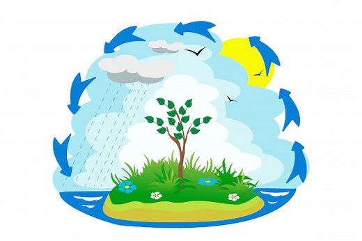 Ciclo da água: etapas, importância e atividade - Escola Kids
