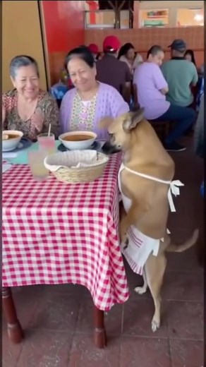 13K views · 141 reactions | All hands on desk | Ada Italo | Facebook