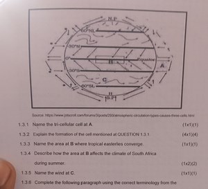 1.3.1 Name the tri-cellular cell at A.1.3.2 Explain the format... | Filo