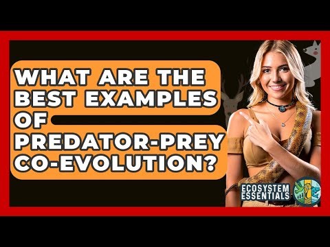 What Are The Best Examples Of Predator-prey Co-evolution? - Ecosystem Essentials