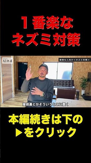 めんどくさい人向けのネズミ対策