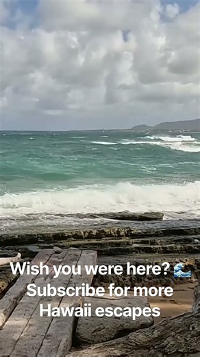 Ocean Waves in Kauai, Hawaii 🌊 Pure Island Escape