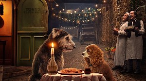 Lady and the Tramp Summary, Trailer, Cast, Where to Watch and More