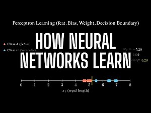 How Neural Networks Learn (Perceptron Explained)