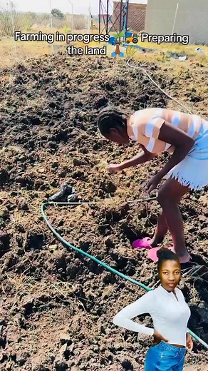 Farming in progress: land preparation and farm building tips