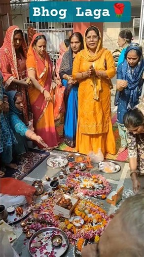 Govardhan puja#trending#viral#sorts🌹🌹💫💫🎊