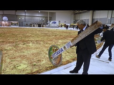 The Biggest Pizza In The World / Ottavia