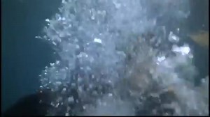 38 reactions · 3 comments | "Splash" was released 40 years ago on...