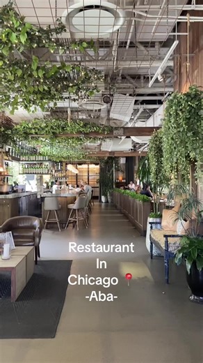 Aba- Mediterranean food . . . . #chicago #chicagotiktok #chicagofood #foodinchicago #jesuslovers #chicagothingstodo #thingstodochicago #thingstodo #traveltiktok #travelchicago #restaurantsinchicago #chicagorestaurants #chicagorestaurant #abachicago #abamediterranean #mediterranean #mediterraneanfood #chicagowestloop #chicagowestloopresturants