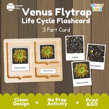 Venus Flytrap Life Cycle Montessori 3-Part Cards - Science Botany Flashcards
