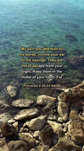 Proverbs 4:20-22 — God's Word Read Aloud ✝️