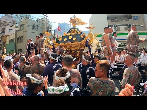 Sanja Matsuri (Yakuza tatoo). Asakusa Tokyo walk tour. 【4K】5.2024