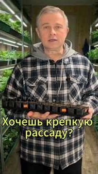 Are your seedlings stretching? Do THIS and they'll grow back into a stocky shape! 🌱