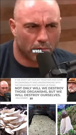 Joe Rogan and Paul Stamets - Life in Danger.... #fypシ゚viral.