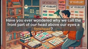 5000 Must Know SAT Vocabulary - SAT Vocabulary: Understanding the Word Forehead