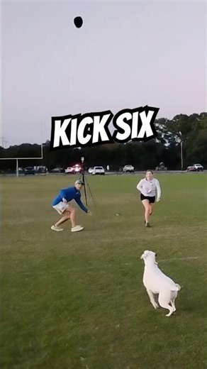 Dog Reenacts Kick Six Rod Bramblett Radio Call! #kicksix#rodbramblett#ironbowl