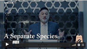 Why Do We Eat Fish on Shabbos?