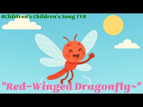 Red-Winged Dragonfly~ ❤️🪶|A tiny sky fairy dancing under the golden sun |Shiny wings that sparkle|