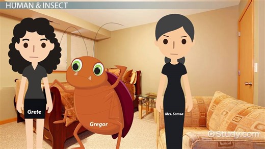 Gregor in The Metamorphosis | Role, Character & Analysis - Video | Study.com