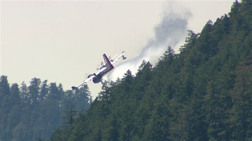 Human-caused wildfire closes trails near Lake Cushman in the Olympics