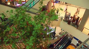 Busy mall escalator timelapse  - Free Stock Video