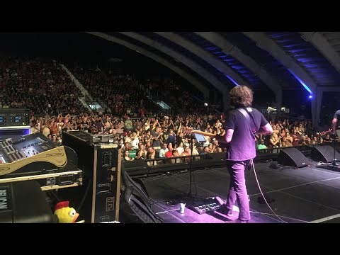 This is THE best amp for gigging musicians.