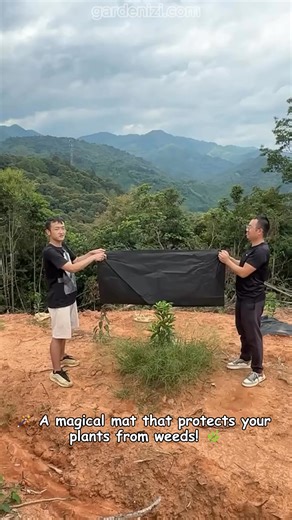 85K views · 222 reactions | Introducing my magical weed-proof mat! ✨...