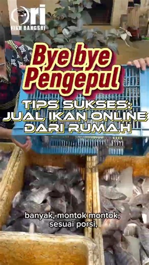 TIPS SUKSES JUALAN ONLINE #budidayaikan #suksesbeternak #nila #lele #kulinerviral #online