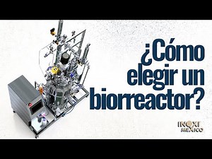 ¿Cómo elegir un biorreactor? - Inoximexico