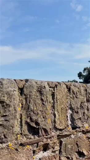 Ireland Travellers on TikTok