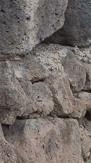 What's that hiding in the rocks, 🦎